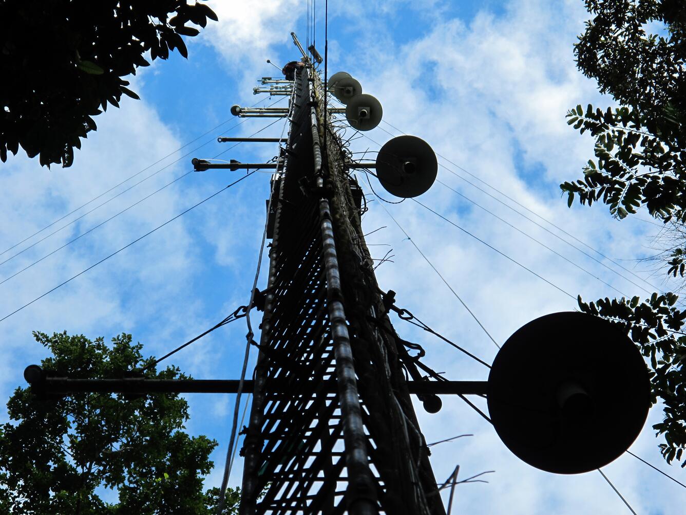 Image: Sensors Installed on Amazon Observation Tower