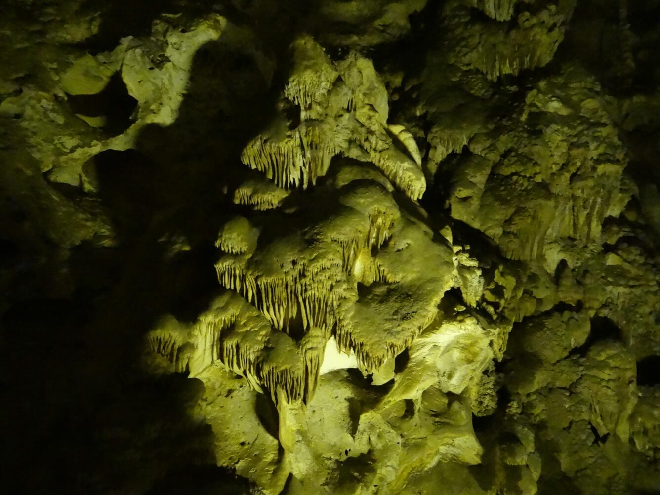 Image: Carlsbad Caverns