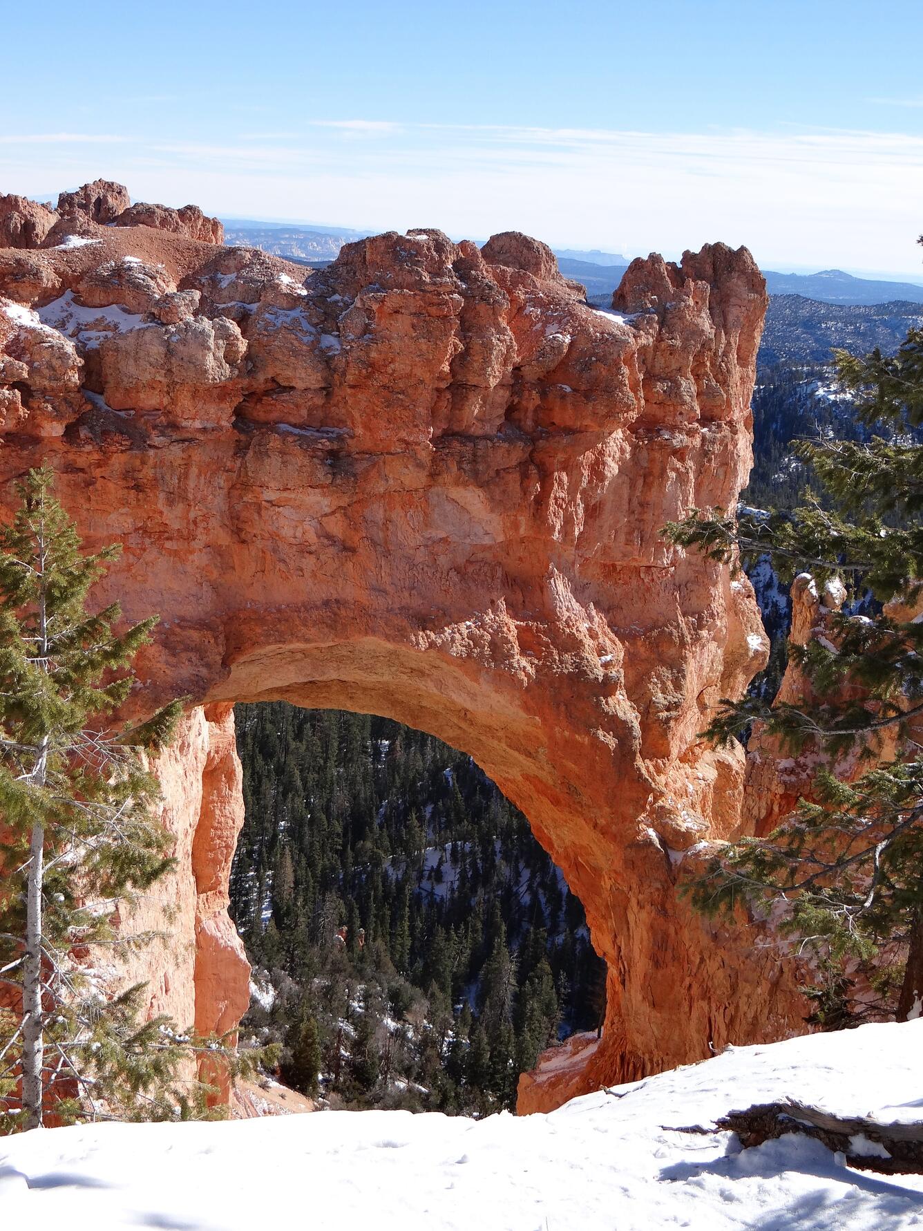 Image: Bryce Canyon Natural Bridge