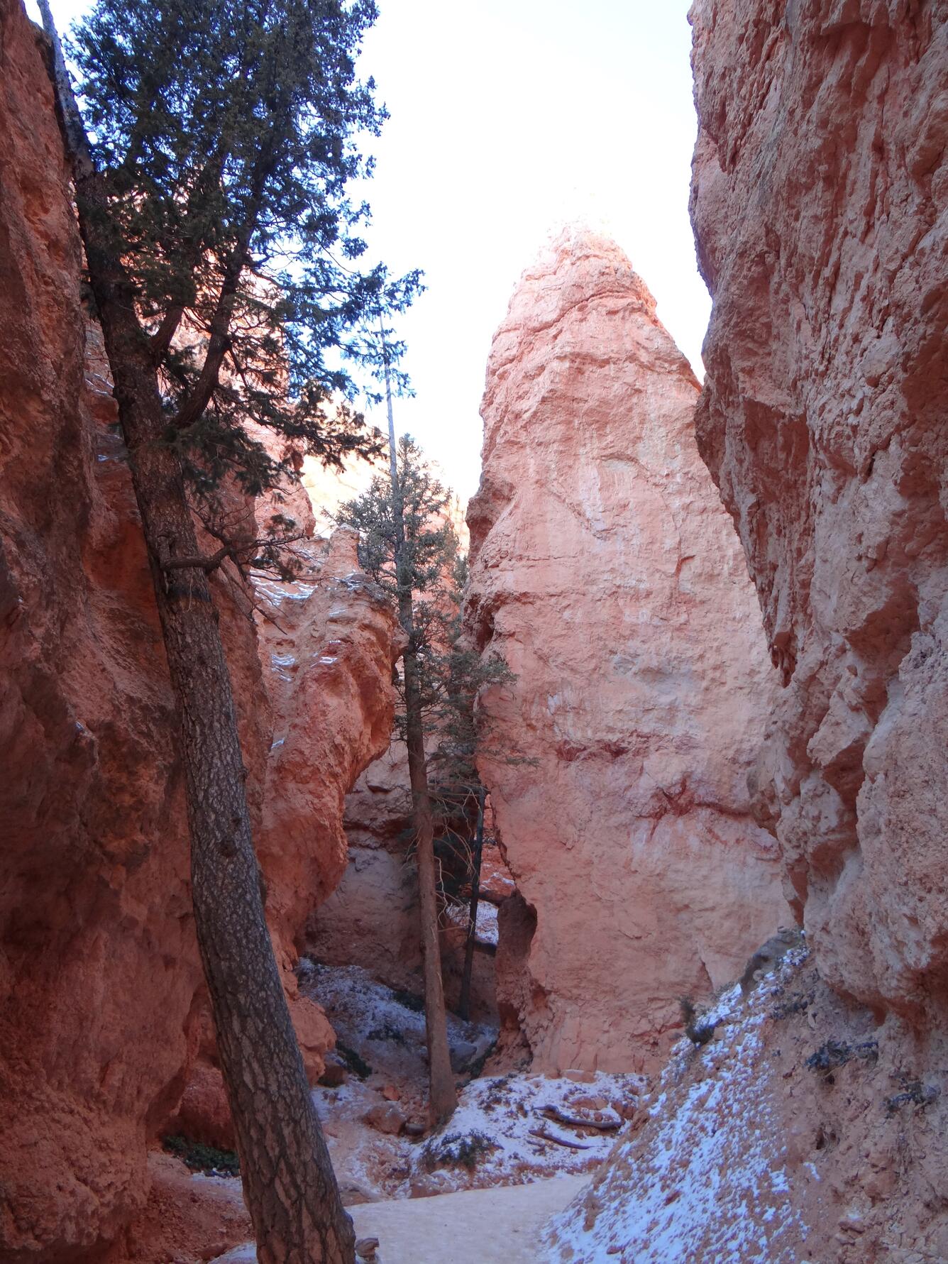 Image: Bryce Canyon's Navajo Loop Trail