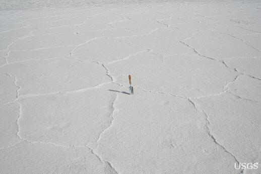 Image: Salt Rings on the Floor of Death Valley