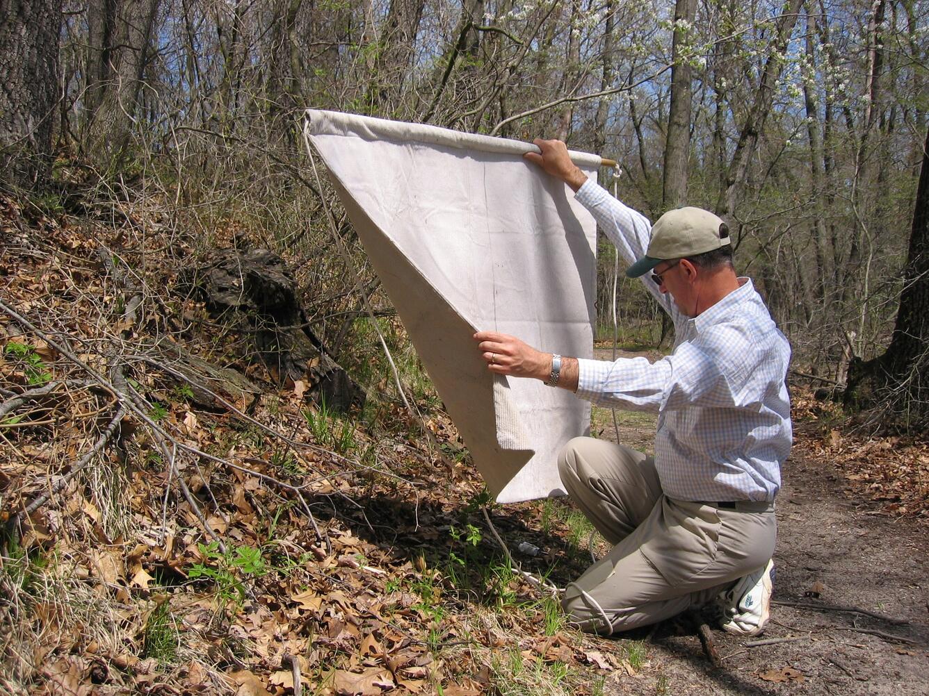 Image: Catching Ticks for Research