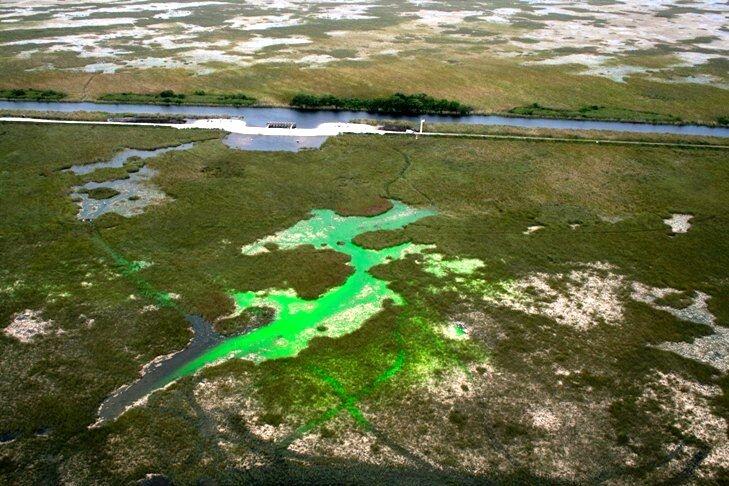 Image: The Decomp Physical Model