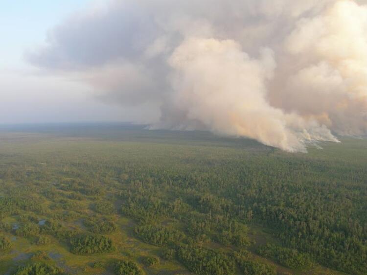 Image: Controlled Burn at Okefenokee National Wildlife Refuge