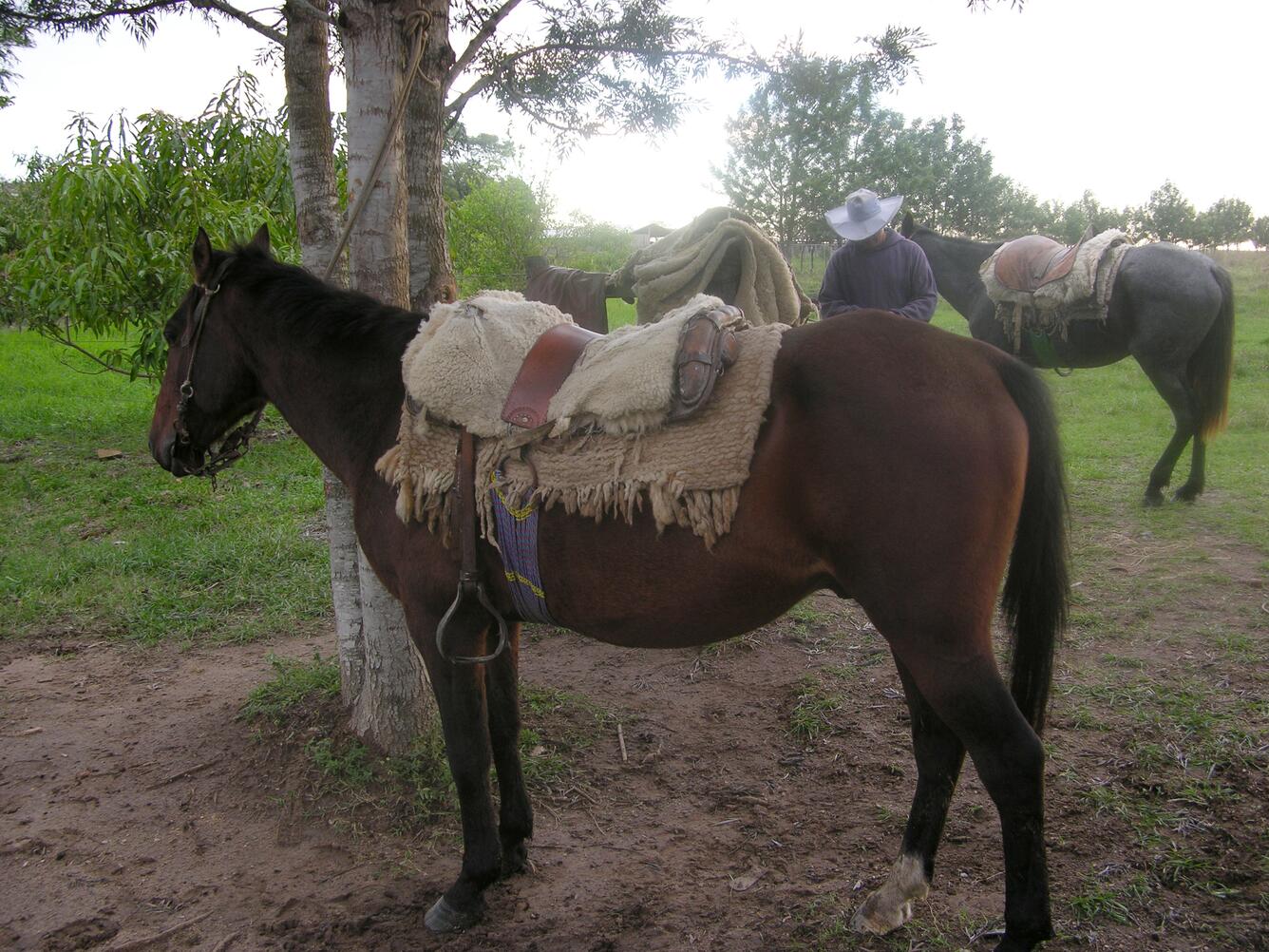 Image: Paraguayan Horse Tack