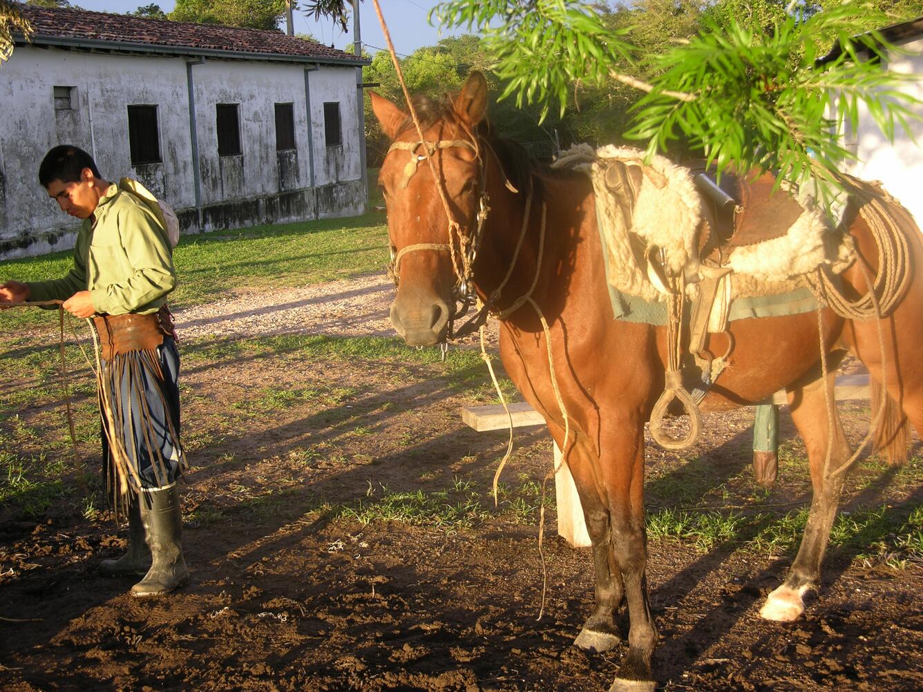 Image: Paraguayan Cowboy Braiding Rawhide