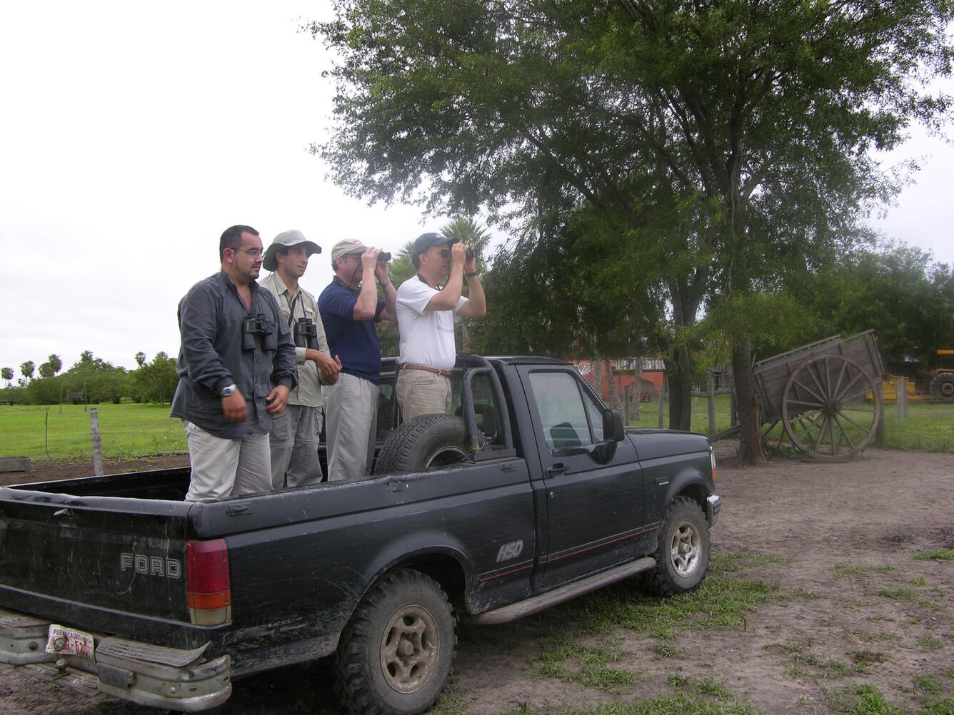 Image: Bird Watching in the Pantanal