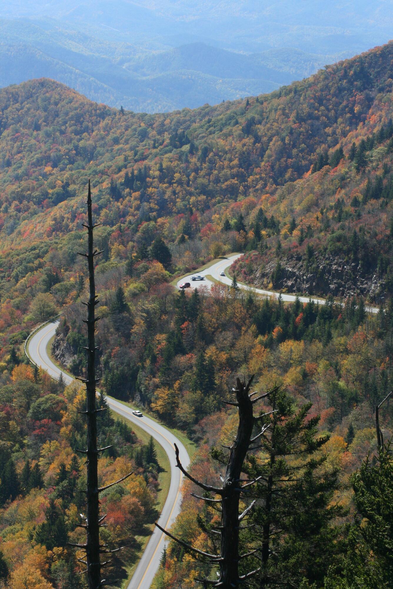 Image: Summit of Waterrock Knob