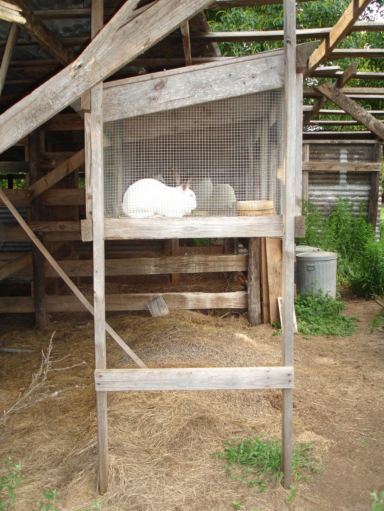 Image: Rabbit Hutch