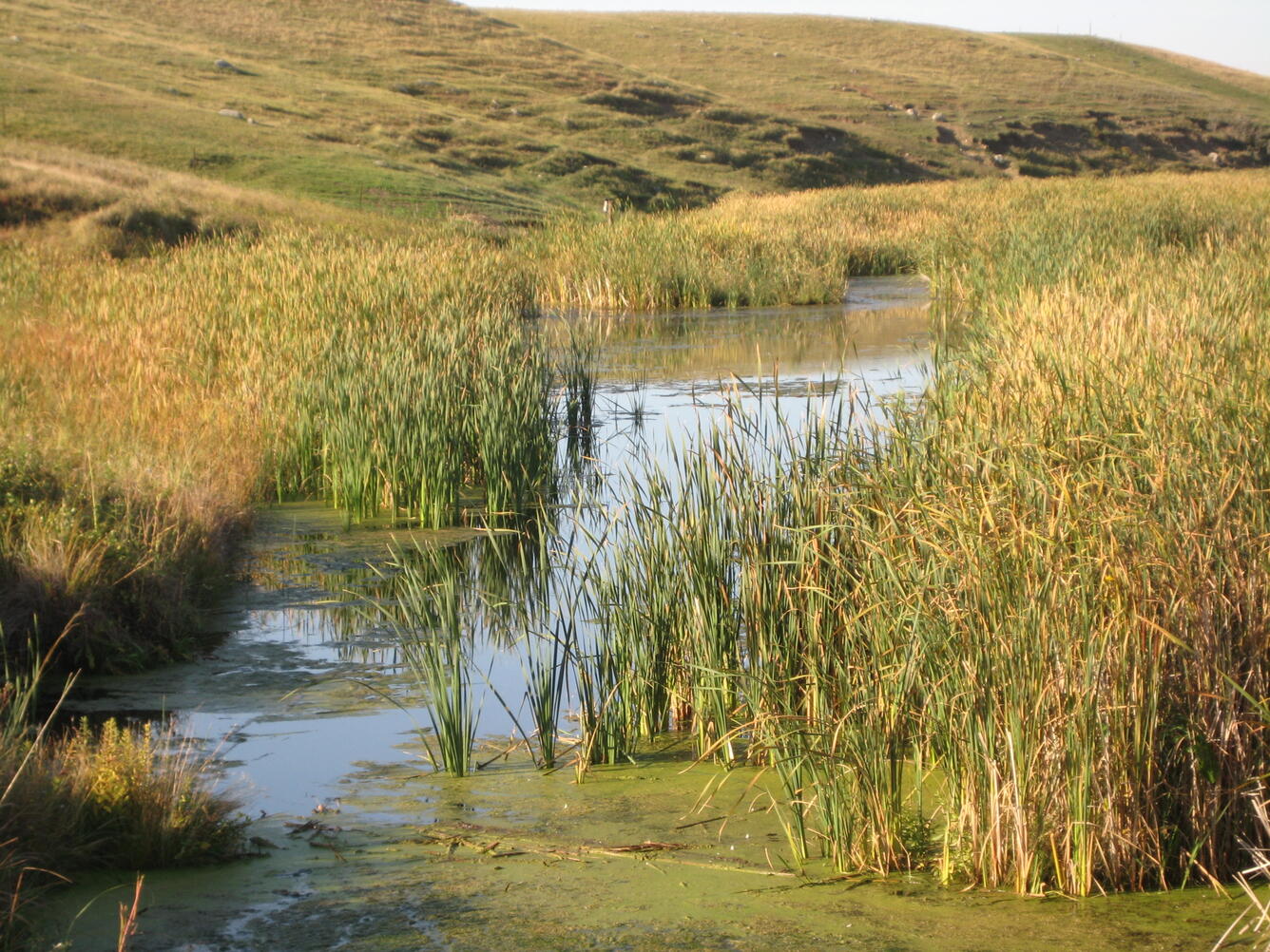 Image: Water on the Prairie