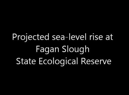 video thumbnail: Sea-level Rise Scenario for San Francisco Bay Estuary - Fagan Marsh