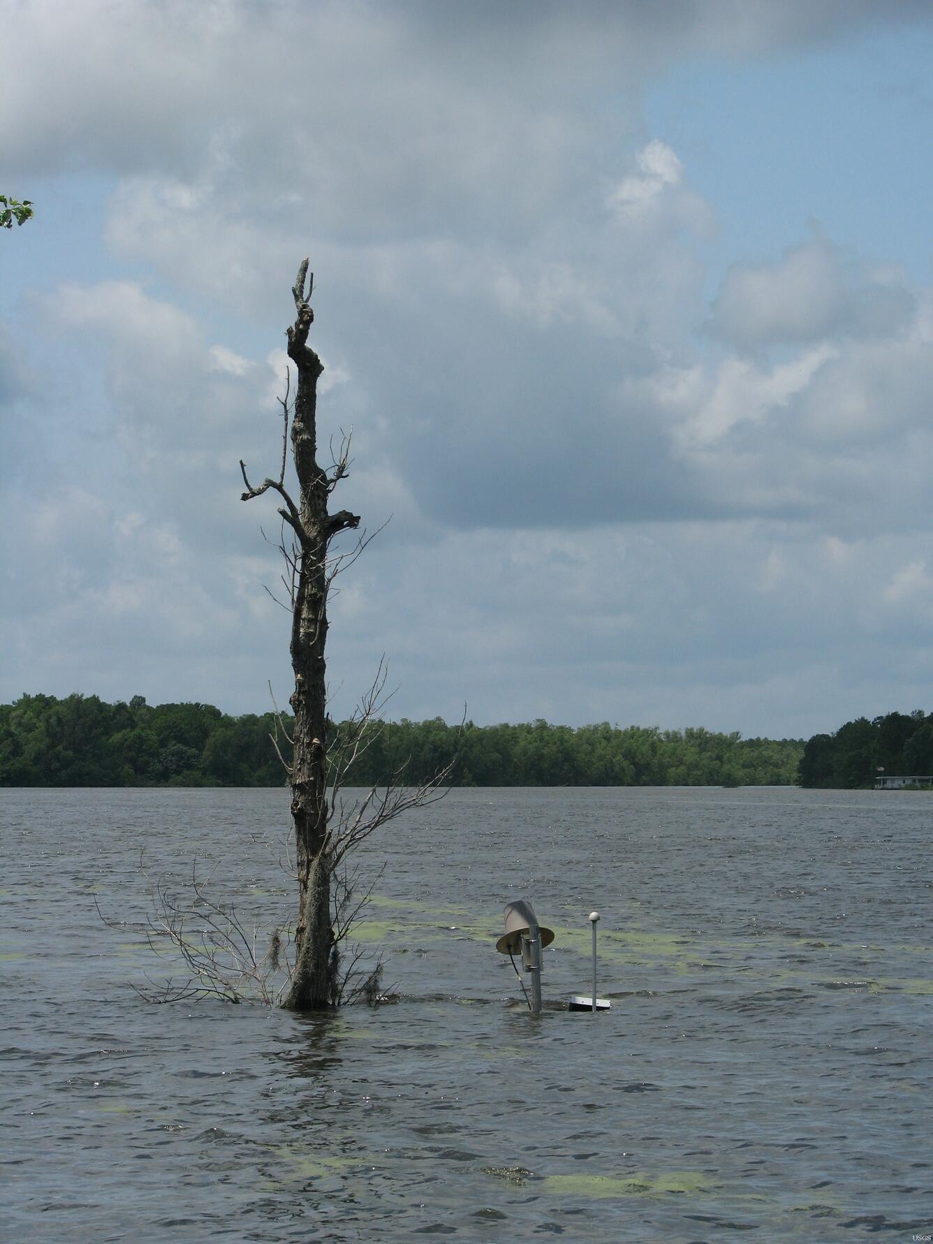 Image: 2011 Spring Flood