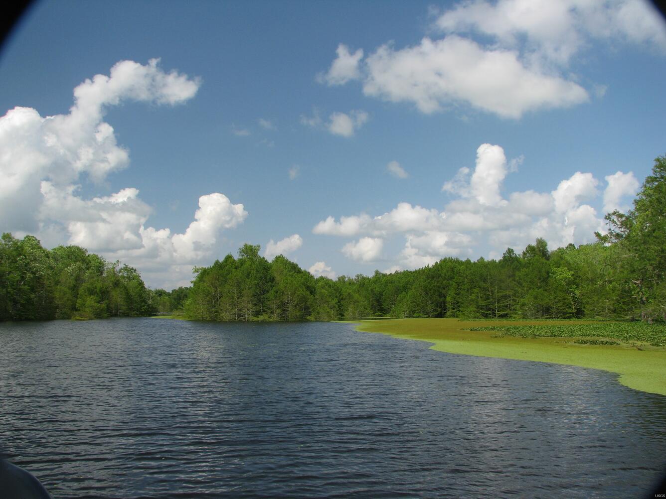 Image: 2011 Spring Flood