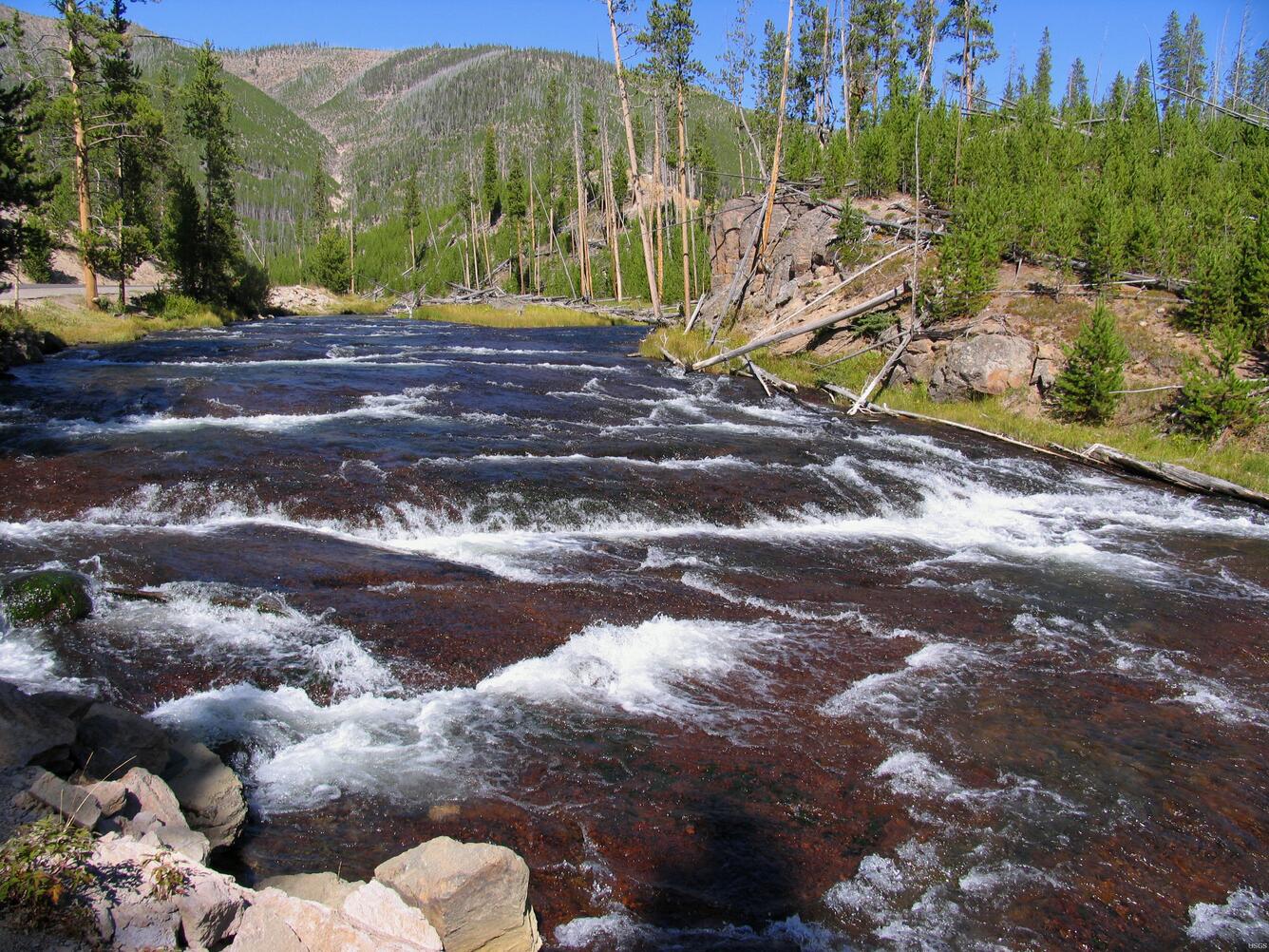 Image: Gibbon River Falls, Yellowstone National Park