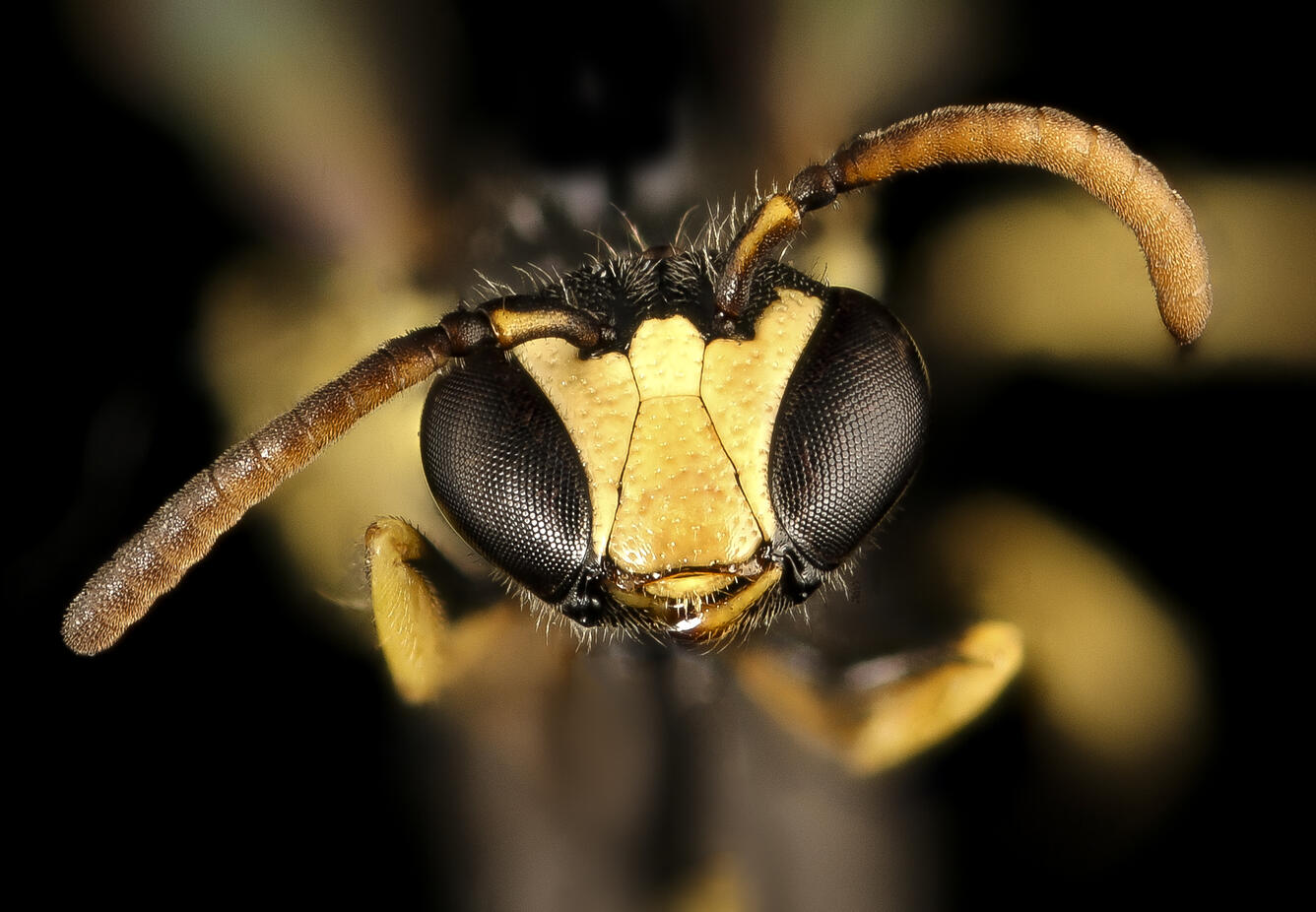 close up of image
