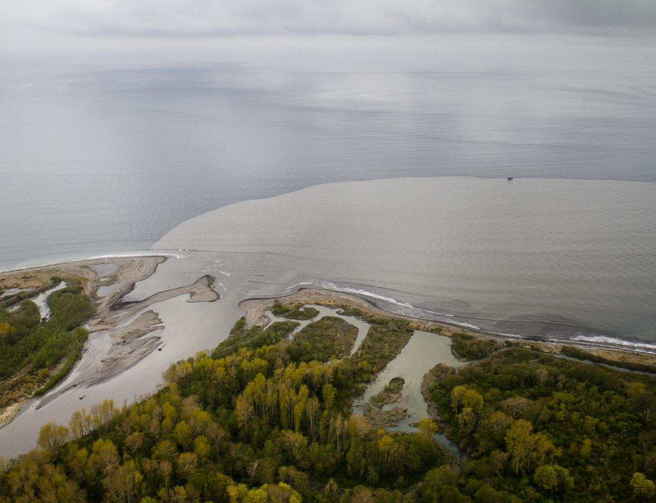 View from the sky looking seaward over a river mouth that is dumping large volumes of sediment and creating a delta.