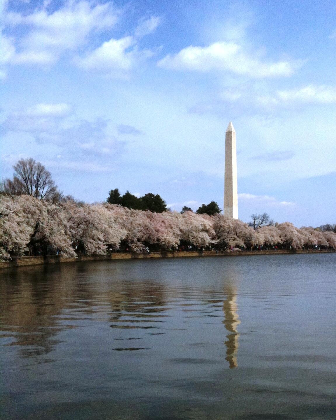 Image: Washington Monument in DC