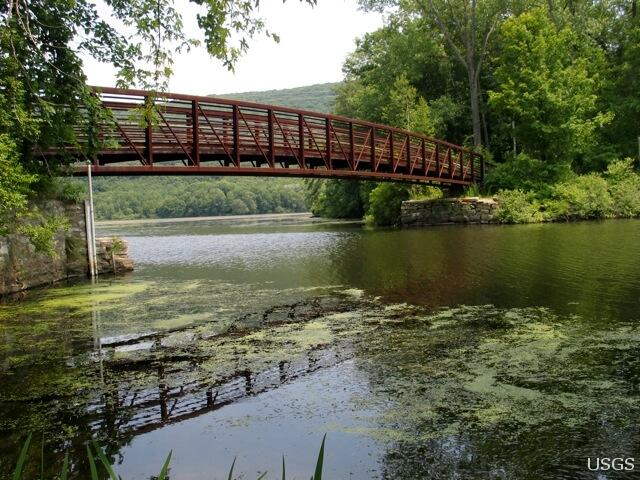 Image: Peaceful Pond