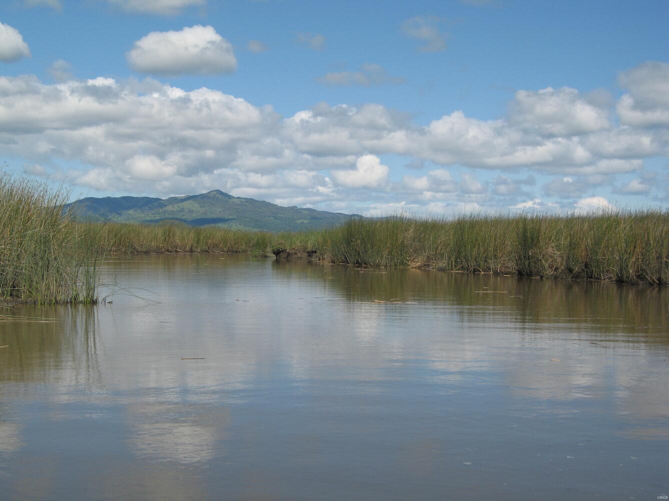 Image: Suisun Slough, California