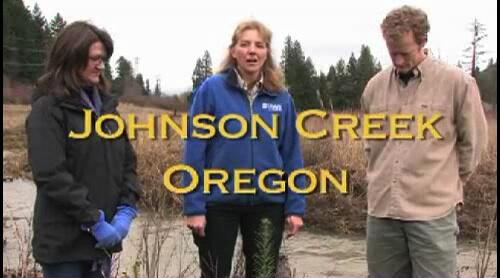 video thumbnail: Connecting flood management and salmon habitat improvement, Johnson Creek Schweitzer Natural Area, Portland, Oregon