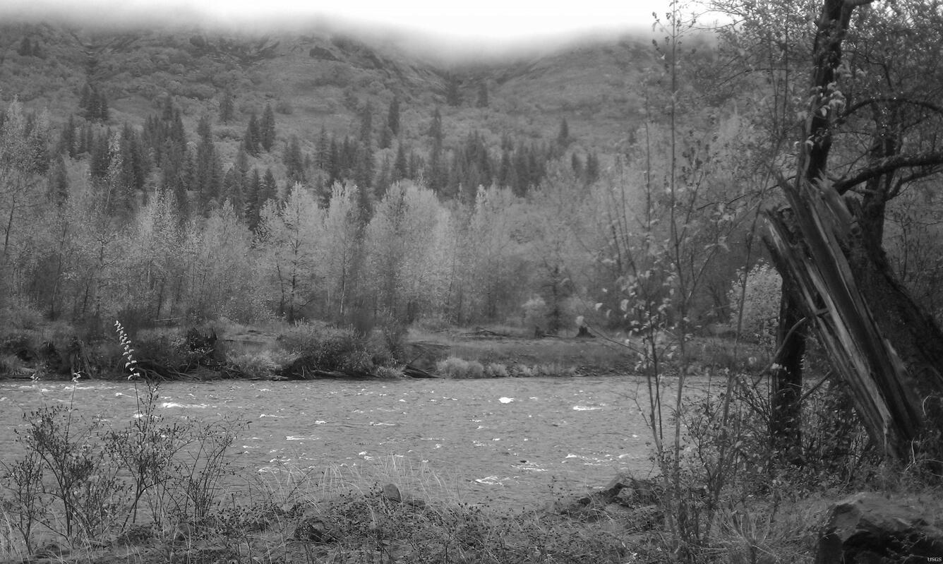 Image: Along the Klickitat River