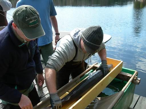 Image: South Dakota Cooperative Fish and Wildlife Research Unit