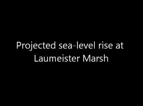 video thumbnail: Sea-level Rise Scenario for San Francisco Bay Estuary - Laumeister Marsh