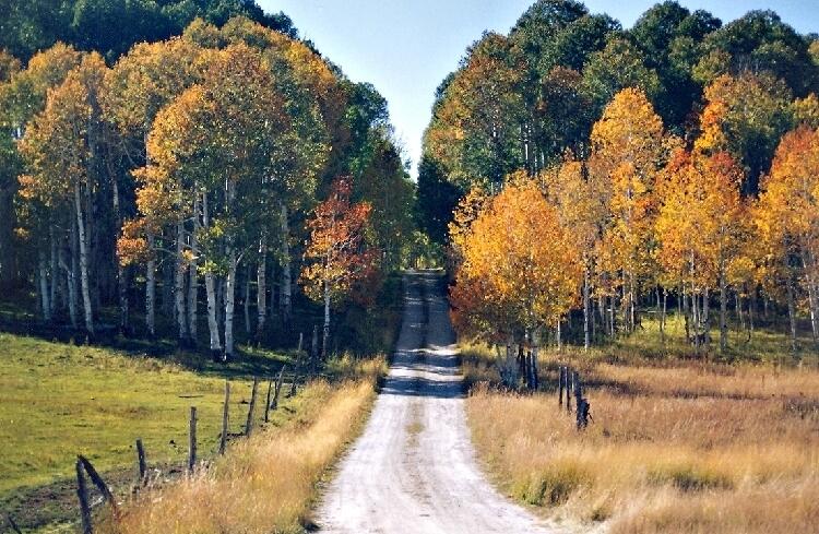 Image: Pleasant Aspects of Autumn in Zion National Park