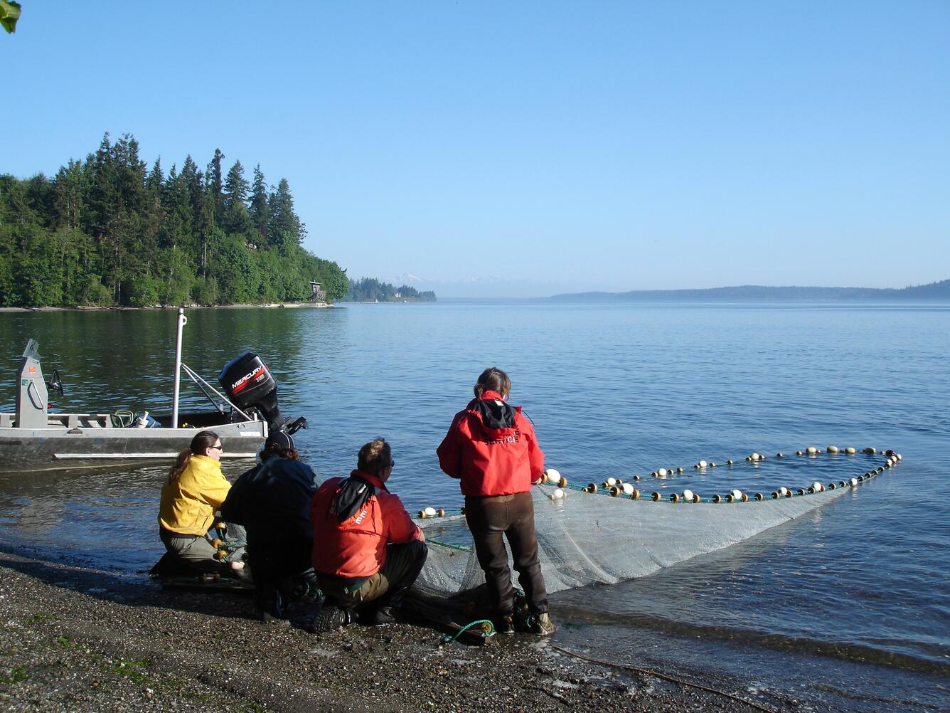 Image: Seining Near the Shore
