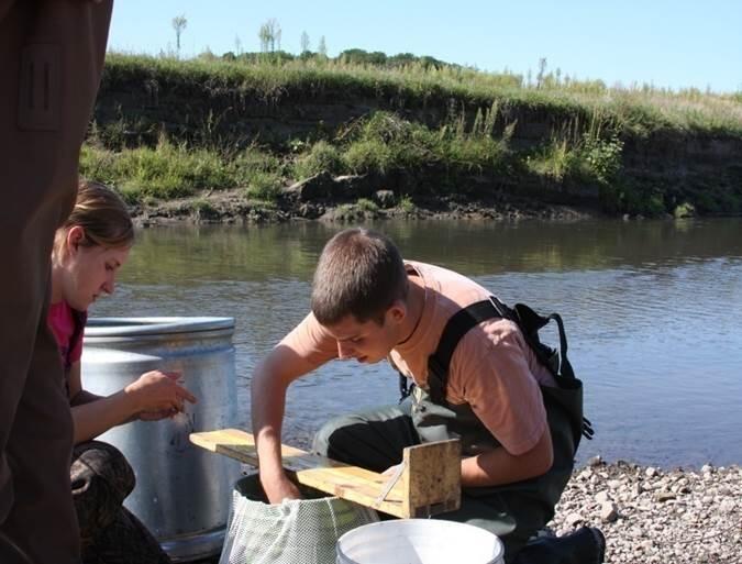 Image: Electro-Fishing