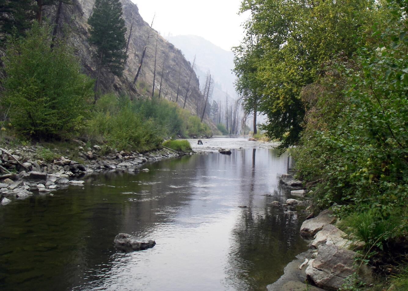 Image: Panther Creek Upstream of Big Deer Creek, central Idaho 