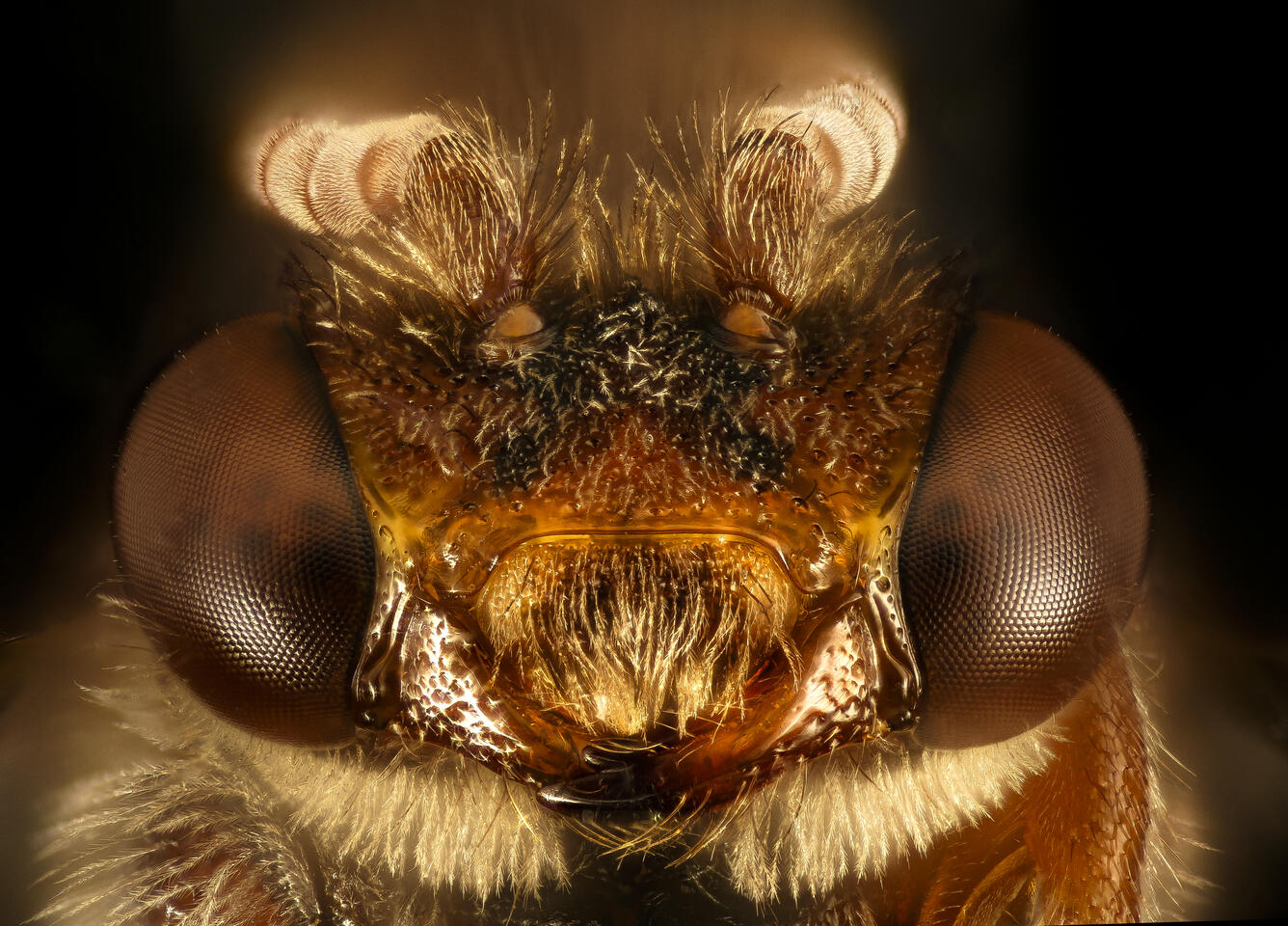 close up of image