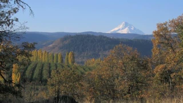 video thumbnail: 3-D Geologic Model of Columbia Plateau Aquifer System