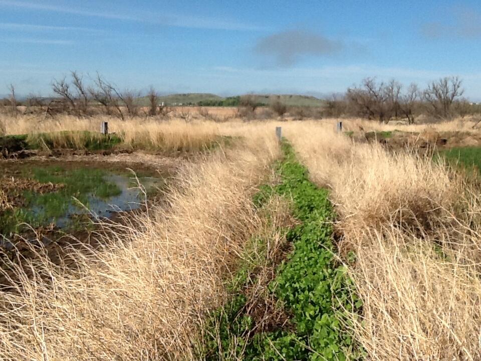 Image: Inlet/Outlet Control Structure at Little Bend Wetlands, Lower Brule Indian Reservation, SD