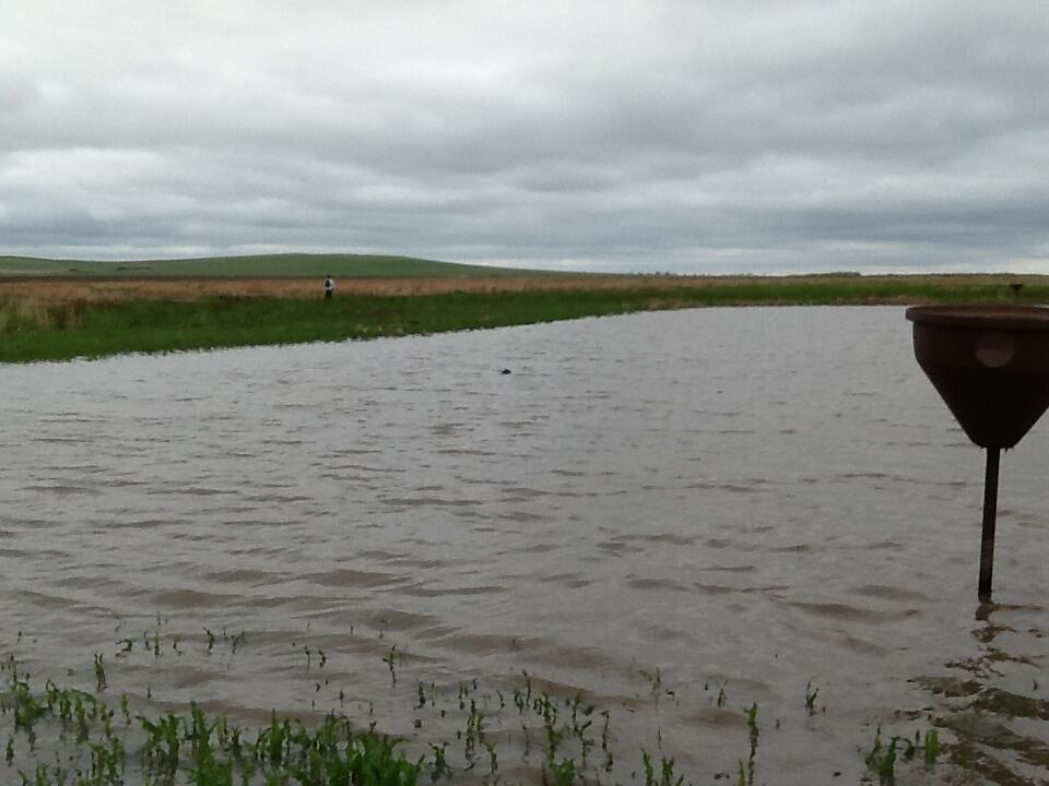Image: Dugout at South Potter Slough, Lower Brule Indian Reservation, SD