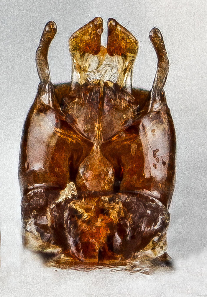 close up of image
