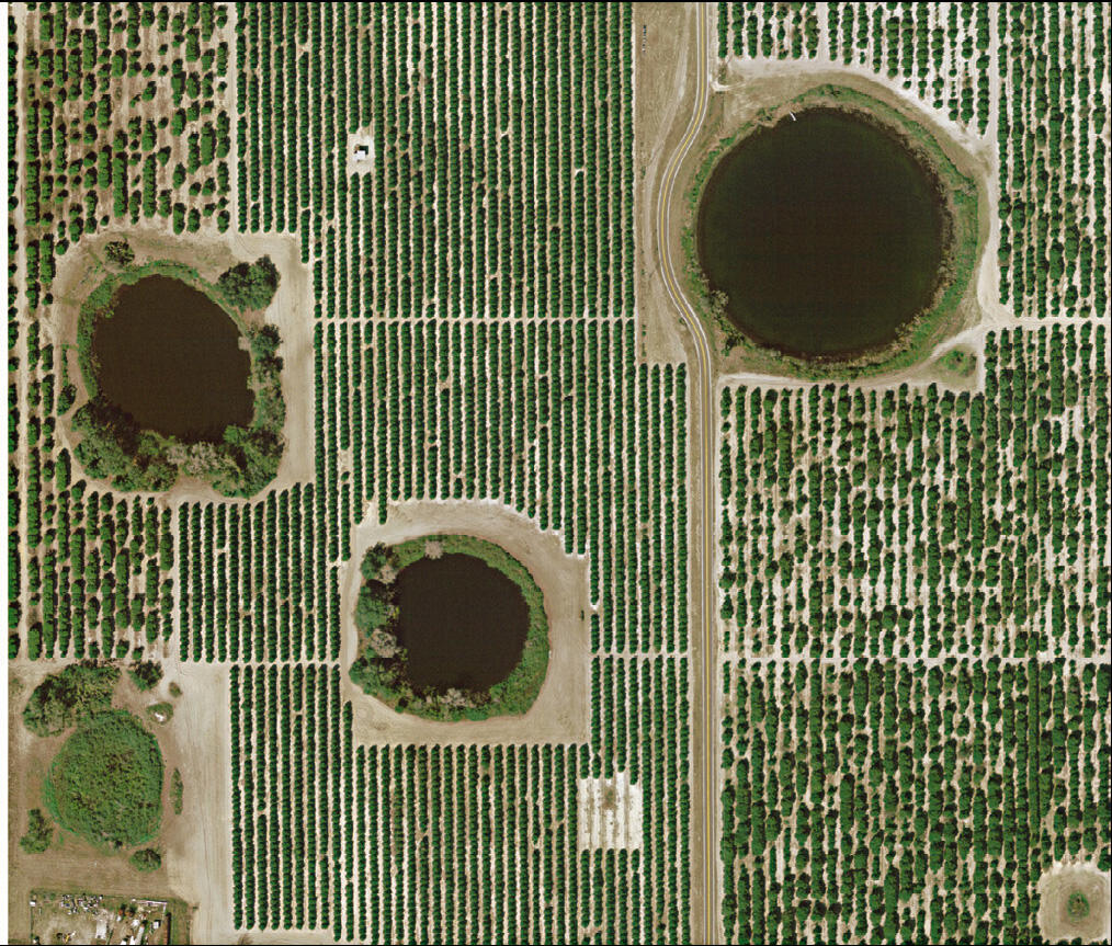 Image: Satellite view of Swim Lake and nearby lakes.