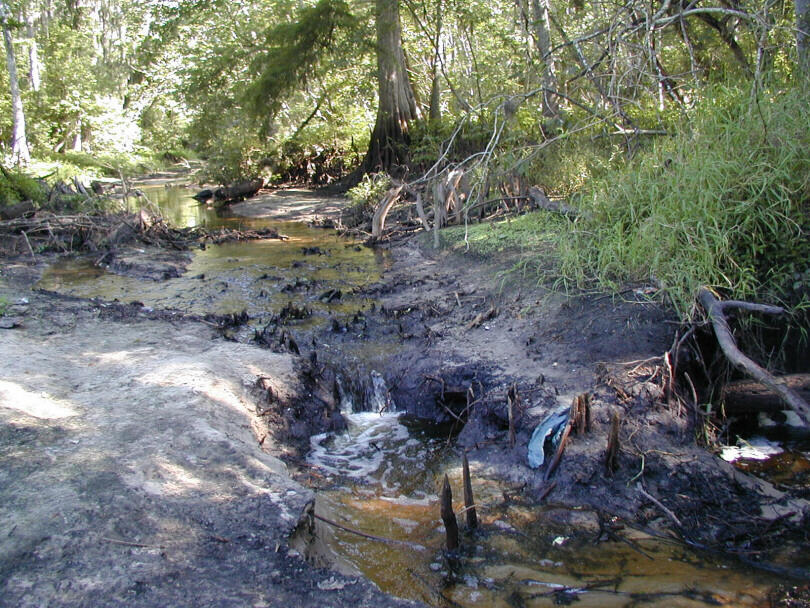 Image: Various Karst Features Along Peace River, Fl