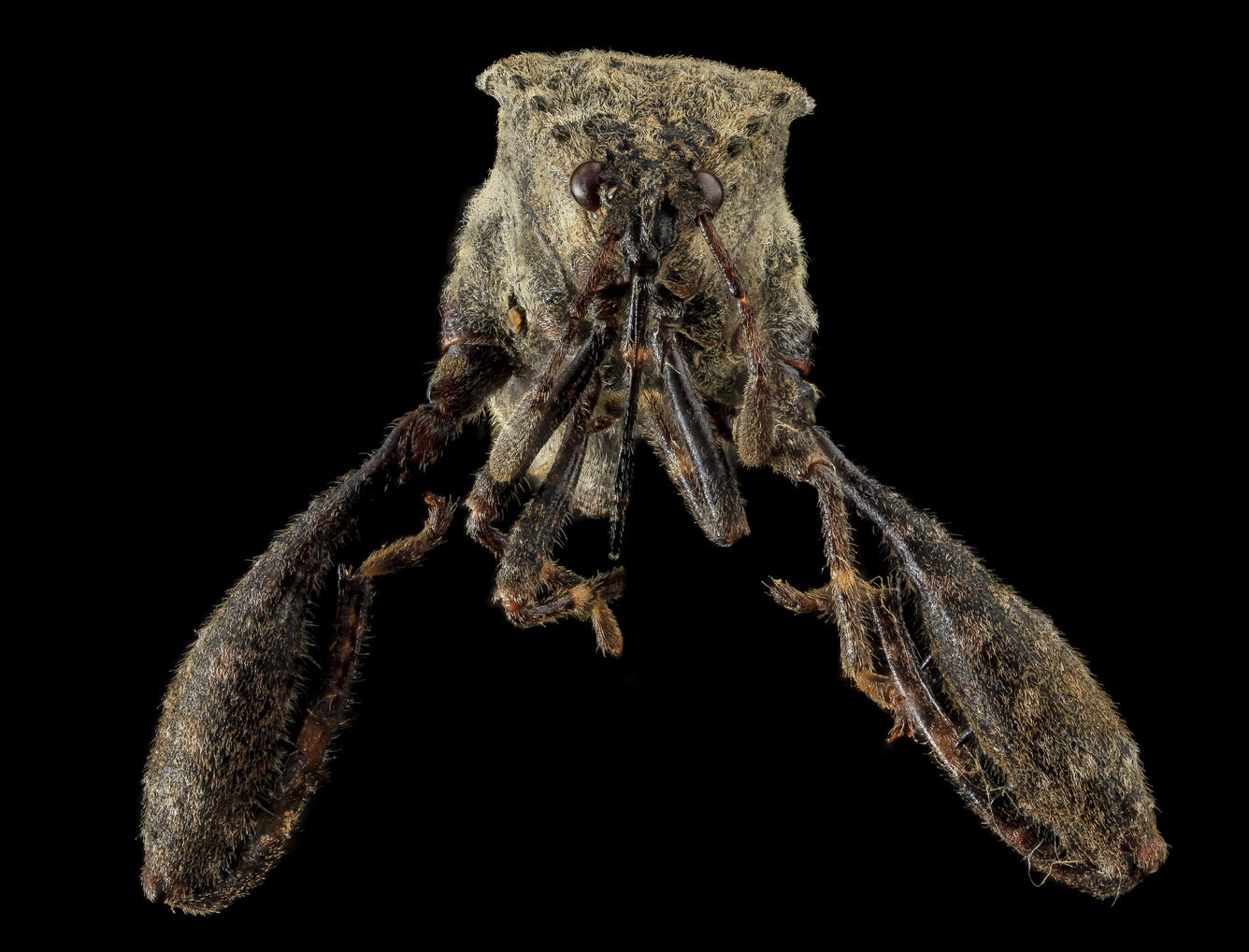 close up of image