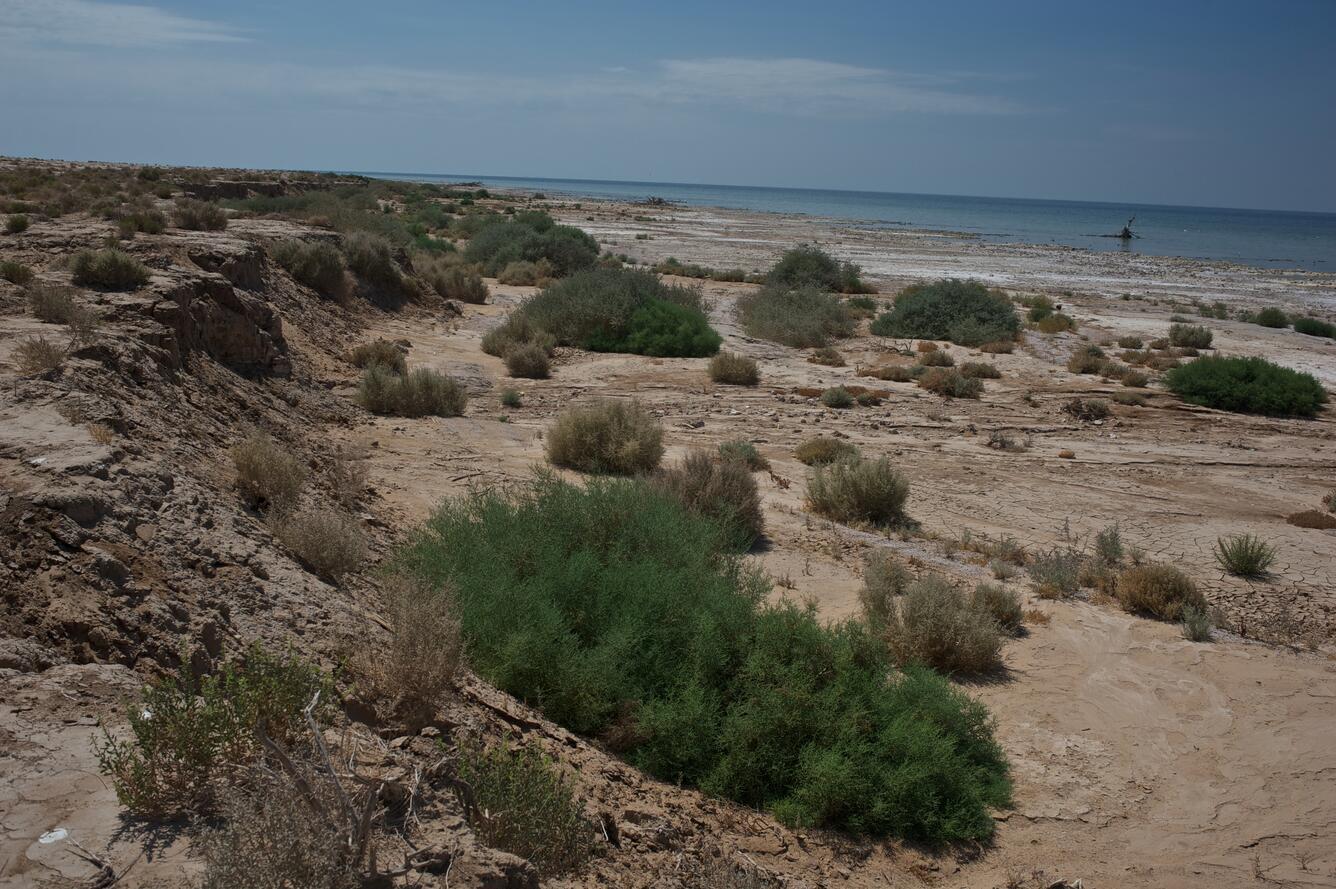 Image: Receding Shoreline