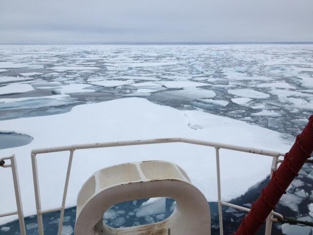 Image: Arctic Sea Ice in Beaufort Sea September 2013