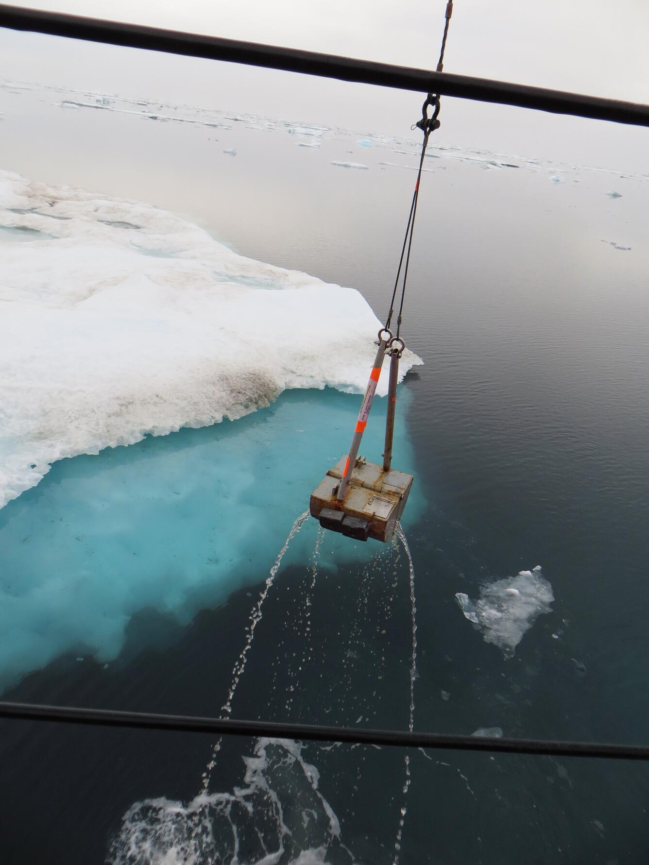 Image: Van Veen Bottom Sediment Sampler Recovers Living Organisms