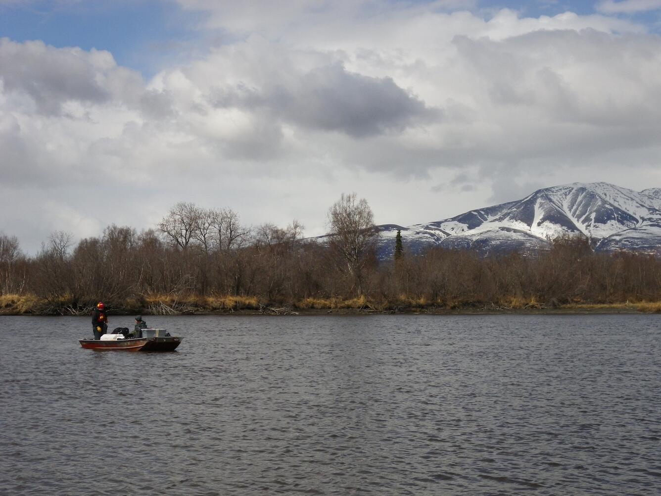 Image: Alexander Creek in the Susitna Basin