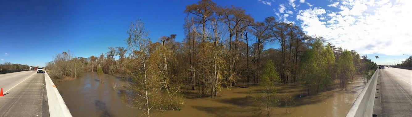 Image: Panorama of the Floodwaters at the Bonnet Carré Spillway