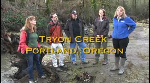 video thumbnail: Longitudinal connection and habitat rehabilitation, Tryon Creek, Portland, Oregon