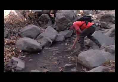 video thumbnail: USGS and 2007 California Wildfires: Very Endangered Trout