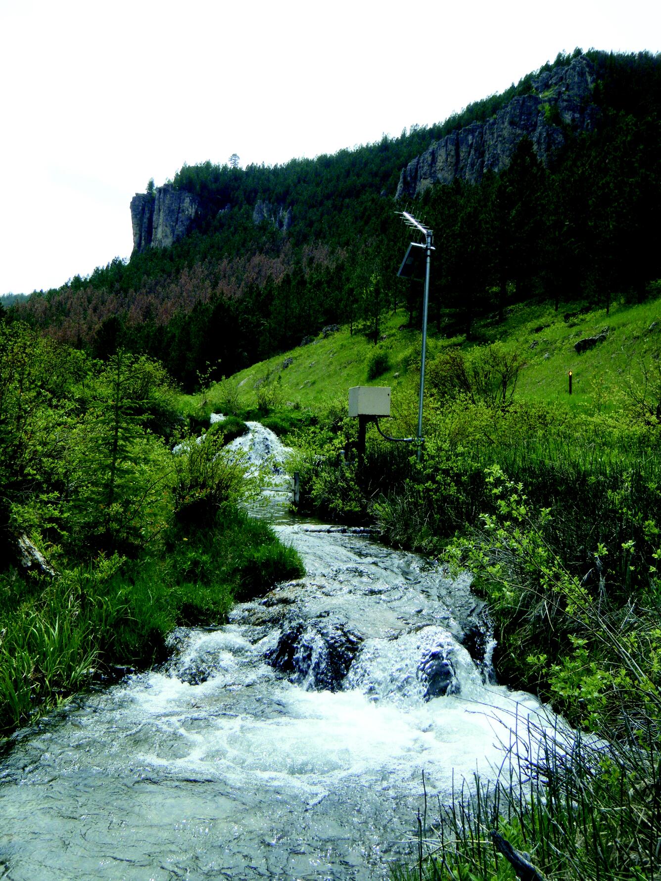 Image: Rhoads Fork Near Rochford, SD