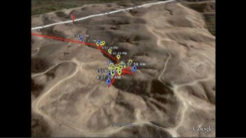 video thumbnail: Bobcat Movement Patterns in Urban Southern California