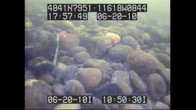 video thumbnail: Bedload Transport on the Kootenai River near Bonners Ferry, ID (Part 3)