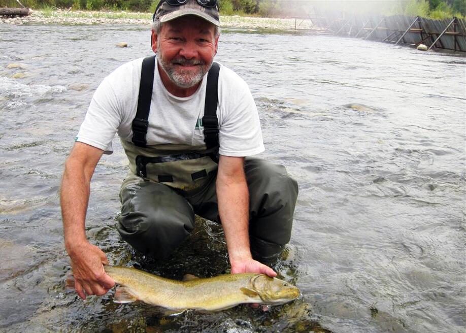 Image: Radio-Tagging Bull Trout on the North Fork Boise River
